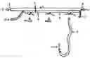 Fig. 01 - Multiple shower