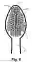 Fig. 04 - Toothbrush assembly employing moisture-draining and ventilation aperture