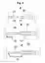 Fig. 05 - Magnetically Clasping Clothing Fastener for Presenting an Adornment