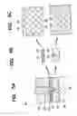Fig. 06 - Die apparatus, method for producing perforated work plate, perforated work plate, liquid-jet head and liquid-jet apparatus