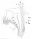 Fig. 02 - Shoe sole insert