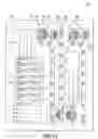 Fig. 07 - Patient identification products
