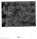 Fig. 08 - Porous ceramic body and method for production thereof