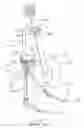 Fig. 02 - Multifunctional musical instrument stand