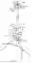 Fig. 08 - Multifunctional musical instrument stand