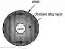 Fig. 01 - Interfused nanocrystals and method of preparing the same