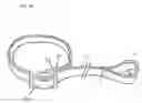 Fig. 10 - Bird harness and leash