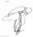 Fig. 20 - Bird harness and leash