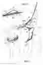 Fig. 07 - Animal restraining apparatus