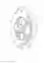 Fig. 04 - Camshaft adjustment device for an internal combustion engine