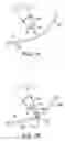 Fig. 17 - Transgastric abdominal access