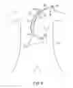 Fig. 20 - Transgastric abdominal access