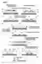 Fig. 02 - Patterned surfaces and polymeric microstructures within robust microfluidic channels