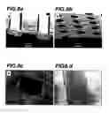 Fig. 06 - Patterned surfaces and polymeric microstructures within robust microfluidic channels