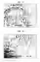 Fig. 06 - Multi-ply paper towel with absorbent core