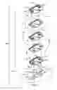 Fig. 04 - Tubular flapper valves