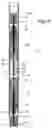 Fig. 06 - Stimulation tool having a sealed ignition system