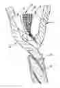 Fig. 01 - Electrical signal cable