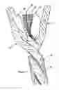 Fig. 02 - Electrical signal cable