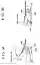Fig. 04 - Mounting structure for vehicular electrical equipment