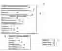 Fig. 01 - Vehicle ignition interlock systems with multiple alcohol sensors