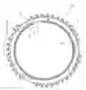 Fig. 01 - Synchronizer ring