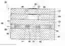 Fig. 01 - Solid-electrolyte sensing elements provided with a hollow element for thermal expansion