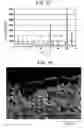 Fig. 12 - Method and apparatus for manufacturing zeolite membrane, and zeolite tubular separation membrane provided by the method