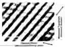 Fig. 01 - Combined Microscale Mechanical Topography and Chemical Patterns on Polymer Substrates for Cell Culture