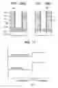 Fig. 09 - Vacuum processing apparatus and vacuum processing method of sample