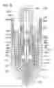 Fig. 07 - Plasma arc torch and method for improved life of plasma arc torch consumable parts