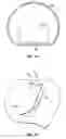 Fig. 08 - Bucket with access door