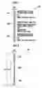Fig. 02 - Power-supplying member and heating apparatus using the same
