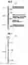 Fig. 04 - Power-supplying member and heating apparatus using the same