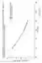 Fig. 08 - Reverse acting rupture disc with laser-defined electropolished line of weakness and method of forming the line of weakness