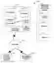 Fig. 01 - CLOSING DOCUMENT STORAGE