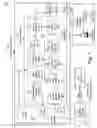 Fig. 02 - Expanded mass data sets for electronic check processing