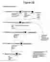 Fig. 10 - System and method for facilitating in-store customer service, product marketing and inventory management