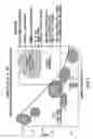 Fig. 02 - Applications of nano-enabled large area macroelectronic substrates incorporating nanowires and nanowire composites
