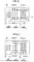 Fig. 02 - Card access apparatus and electronic apparatus implementing the same