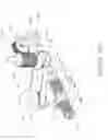 Fig. 14 - Level wind mechanism