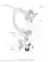 Fig. 15 - Level wind mechanism