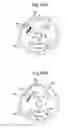 Fig. 07 - Seatbelt retractor