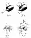 Fig. 06 - Wing for an aircraft or spacecraft