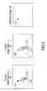 Fig. 05 - Orientation determination utilizing a cordless device