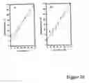 Fig. 19 - Method and apparatus for quantitative analysis using terahertz radiation