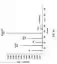 Fig. 06 - Method and apparatus for plasma generation