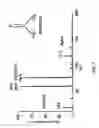 Fig. 09 - Method and apparatus for plasma generation