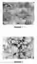 Fig. 02 - Flash welding of conducting polymer nanofibers