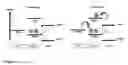 Fig. 02 - Copolymers of soluble poly(thiophenes) with improved electronic performance